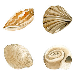 Marine life set painted in watercolor transparent png