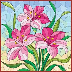 colorful flower vector illustration 