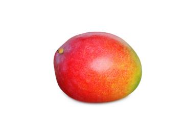 fresh ripe mango fruit cutout in transparent background,png format