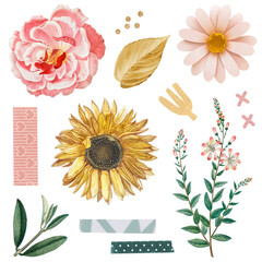 Fototapeta premium Rose and sunflower stickers pack transparent png