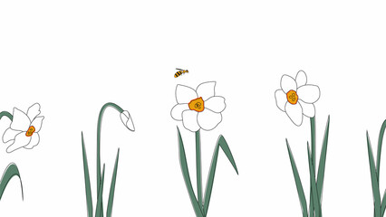 Seamless border of narcissists hand drawn in simplified children cartoon naive style on white background.Cute bee flying over flower.For design of website or shop for spring or summer.Raster