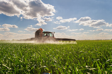 Tractor spraying pesticides wheat field. - 789418591