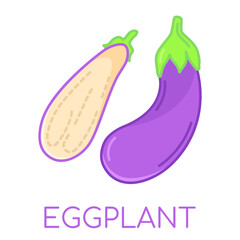 Eggplant vegetable lcolored icons illustration