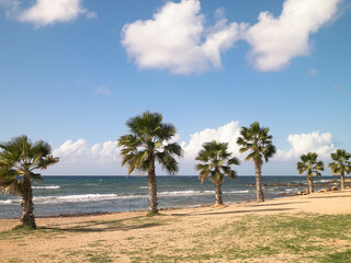 Beach and palm trees. Mediterranean sea coast.