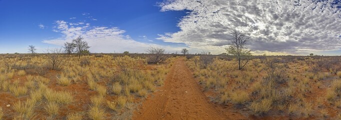 Panoramic picture over the Namibian Kalahari in the evening at sunset with blue sky and light clouds - obrazy, fototapety, plakaty