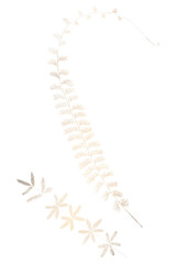 Shimmering golden fern leaf design resource
