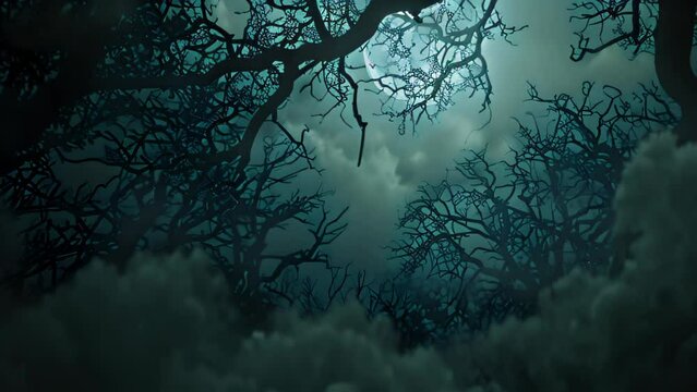 Dark scary forest horror landscape with tree branch. 4k video animation