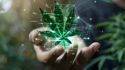 Healing Touch: Cannabis Leaf Highlighting Health Benefits Through Digital Technology