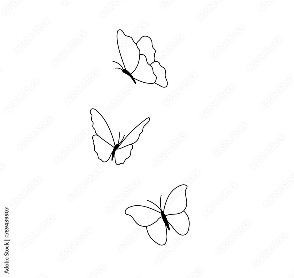 Canvas Prints vector isolated three butterflies flying fluttering colorless black and white contour line easy draw