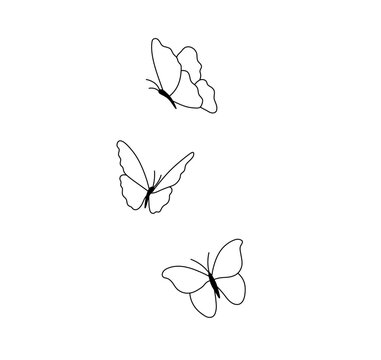 Fototapeta Vector isolated three butterflies flying fluttering colorless black and white contour line easy drawing