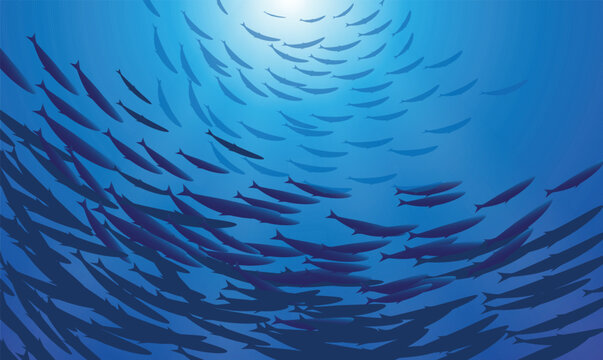 Vector image of the  school of fish in the blue ocean  (in the underwater) and the reflections of the sun.
