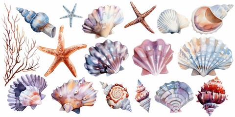 Fototapeta premium A variety of seashells and starfish on a white background. Ideal for beach-themed designs