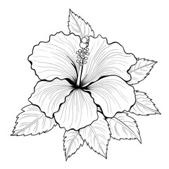 Tropical Flower in Black and White: Digital Art for Creative Projects