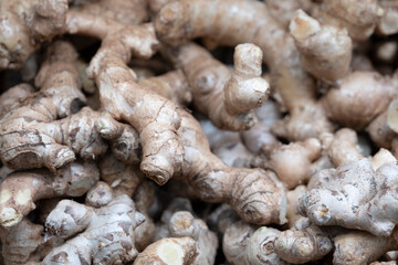 Fresh organic ginger on fresh grocery market. Lots of ginger roots, ginger harvest