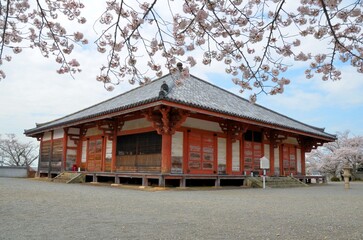 浄土寺 浄土堂と桜	