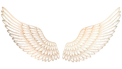 Golden wings sticker overlay design element © Rawpixel.com