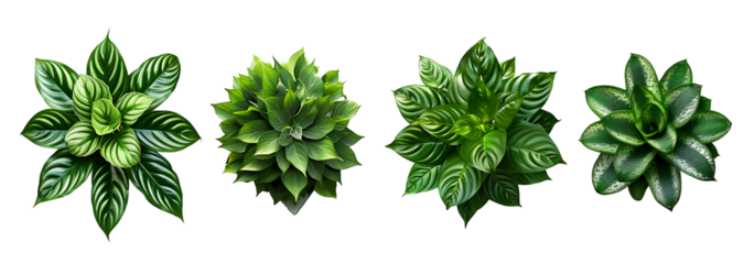 Close-up nail art with feminine charm, floral designs, vibrant pink shades, glossy finish, joyful vibe. Glamour woman hand with nail polish on her fingernails. Nail art and design