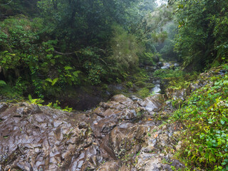 Views from hiking trail PR10 Levada do Furado along water irrigation channel. One the oldest and most popular levadas. Ribeiro Frio to Portela, Madeira Island, Portugal. Wet misty rainy day - 789466596