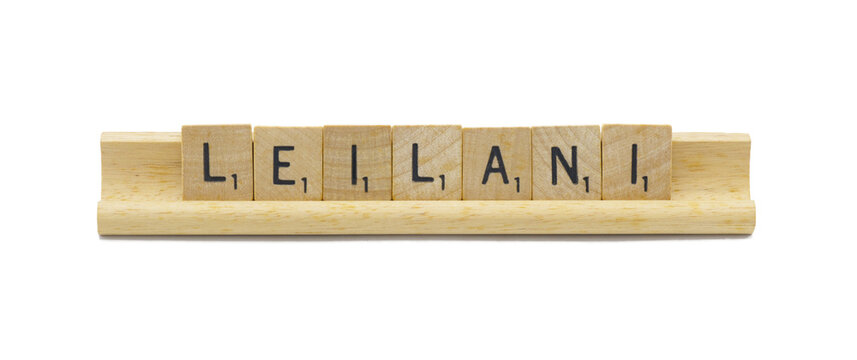 Miami, FL 4-18-24 popular baby girl first name of LEILANI made with square wooden tile English alphabet letters with natural color and grain on a wood rack holder isolated on white background