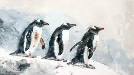 Fotobehang A group of penguins standing on a snow-covered slope. Suitable for winter themes © Fotograf