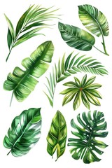 Vibrant watercolor painting of tropical leaves, perfect for tropical-themed designs