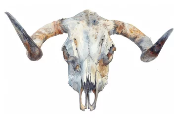 Papier Peint photo autocollant Crâne aquarelle A detailed watercolor painting of a cow skull with horns. Perfect for rustic and western-themed designs