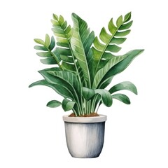 watercolor painting of a potted plant with green leaves