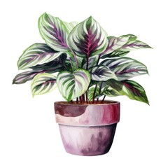 A watercolor painting of a houseplant in a pot.