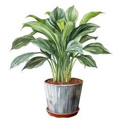 A watercolor painting of a houseplant in a pot with green and white leaves
