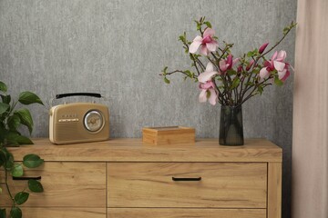 Magnolia tree branches in vase and retro radio receiver on wooden chest of drawers indoors