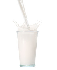 Milk splashing out of glass isolated on white