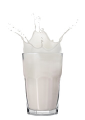 Milk splashing out of glass isolated on white © New Africa