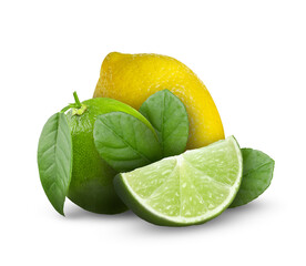 Fresh limes and lemon isolated on white