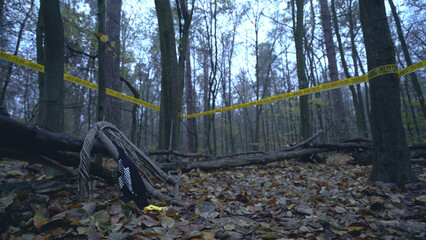 Victim's clothing lies on a tree branch near the ground in the forest, serving as crime evidence 