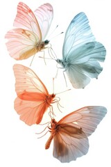 Group of butterflies resting on a white surface. Perfect for nature-themed designs