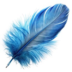 Painted beautiful peacock feather, blue, fantastic, abstract picture