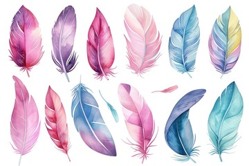 Colorful watercolor feathers displayed on a plain white background. Ideal for artistic projects or decorative purposes