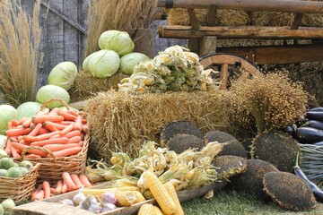 Fresh organic vegetables on farmer market. Local farm bazaar. Assortment of fresh organic harvest...