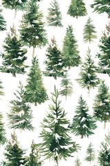 Watercolor painting of evergreen trees, suitable for nature and holiday themes