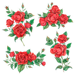 Naklejka premium Hand drawn png red rose flower set