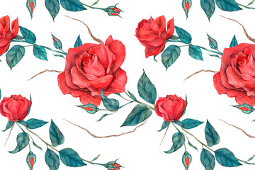 Blooming red rose pattern png transparent background
