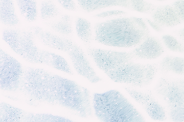 Aesthetic png background of water texture in blue