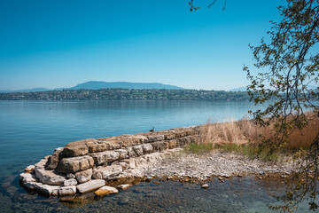 le coin des oiseaux lacustre, Genève, bord du lac 
