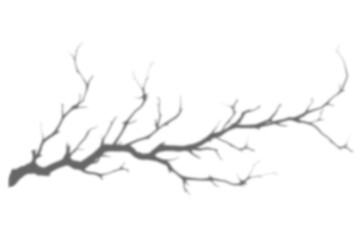 Tree branch png shadow effect, transparent background