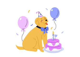 Happy dog celebrating birthday party with balloons and eating homemade dog cake. Puppy receiving surprise holiday gift. Vector illustration. - 789497952