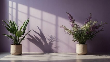 Minimalistic abstract pastel purple background with gentle shadows and botanical decor.