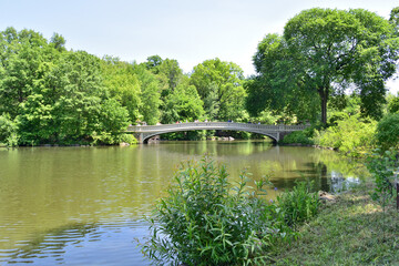Fototapeta na wymiar Tranquil Bridge Over The Pond in Central Park, New York