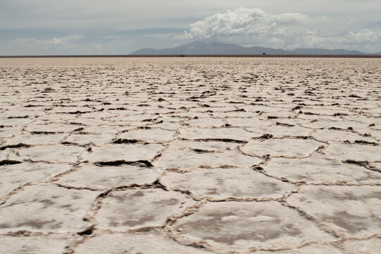 dry cracked earth