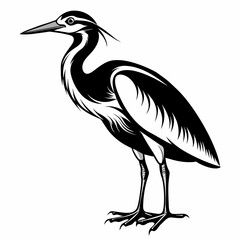 Fototapeta premium bird, heron, wildlife, nature, animal, water, blue, 