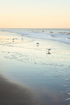 sunset at the beach